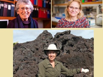 Las científicas Susan Alberts, Jeanne Altmann y Marlene Zuk, galardonadas con el XV Premio Fundación BBVA Fronteras del Conocimiento en la categoría de Ecología y Conservación.