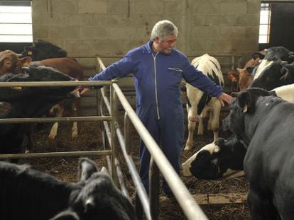 Severino Fernández en una de las granjas que denunciaron los robos en Carzoá (Orense).