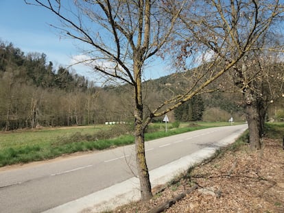 La carretera de Viladrau en el tramo de Mas Vidal.