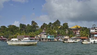 La bahía de Lívingston.