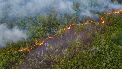 Un incendio en la Amazonia, la mayor selva tropical del mundo, que sufre una expansión del crimen organizado.