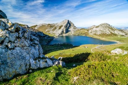 Un parque nacional: Picos de Europa. Compartido por tres comunidades autónomas (Asturias, Castilla y León y Cantabria), presume de ser el más antiguo de los espacios naturales protegidos del país. También es uno de los más visitados: más de 1.800.000 personas se animan cada año a subir a sus montañas o pasear por sus bosques de encinas, robles y hayas o prados alpinos, atravesados por una extensa red de rutas de senderismo. Este parque, además, es uno de los mayores conjuntos kársticos de Europa, con simas de más de 1.000 metros, glaciares imponentes y lagos de alta montaña. Con suerte, entre sus riscos se pueden ver rebecos, y en sus densos bosques habitan corzos, lobos y osos. Entre los parques nacionales mejor valorados en la encuesta también figuran los de Aïgues Tortes y Lago San Mauricio (Lleida), el parque nacional del Teide (Tenerife) y el de las Islas Atlánticas (Coruña y Pontevedra).
