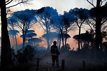 Los bomberos intentan extinguir un incendio en los alrededores de Cannet des Maures, en Francia, el 17 de agosto de 2021.