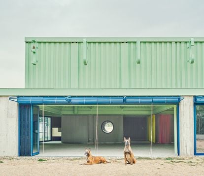 La cubierta del edificio está construida a partir de contenedores de acero reutilizados y transformados. La altura de la persiana exterior permite que los perros salgan al exterior.