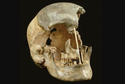 El cráneo de una mujer que vivió hace unos 45.000 años en República Checa, uno de los restos analizados.