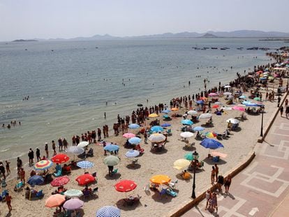 Miles de murcianos formaron el sábado una cadena humana en las orillas del mar Menor en protesta por la situación.