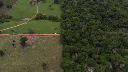 Territorio indígena de los Surui, en el Estado de Rondonia, en la Amazonia.