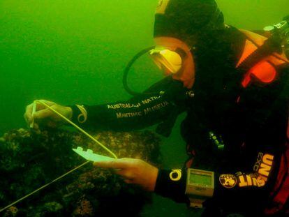 An archaeologist from the Australian Maritime Museum examines the remains of the 'Endeavour' found in the waters of Rhode Island (United States).