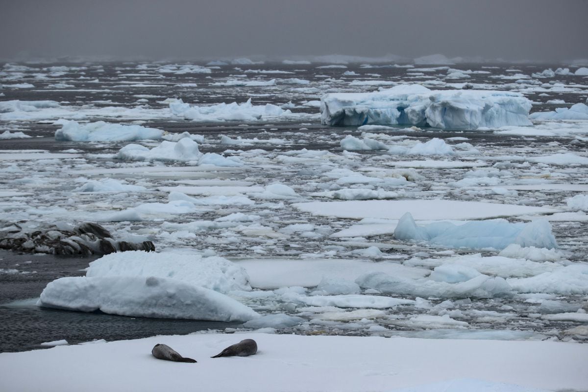 La Temperatura Media De Los Océanos Bate Su Récord Desde Que Hay Registros Oficiales Hace 40