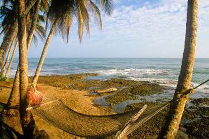 Hamaca en una playa de Cahuita, en el Caribe de Costa Rica.
