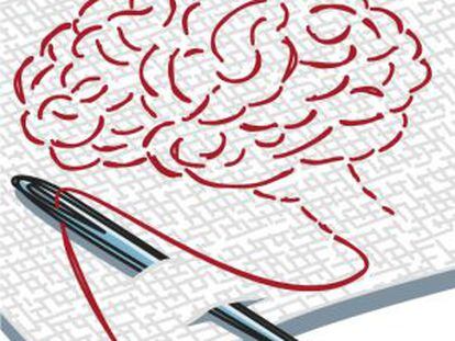 Microcerebros humanos