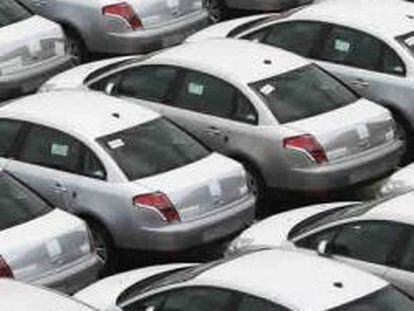 Cientos de coches importados de la firma Citroen permanecen aparcados