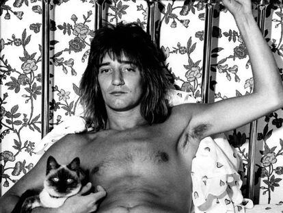 Rod Stewart, en 1976, con 30 años, en la cama con su gato.