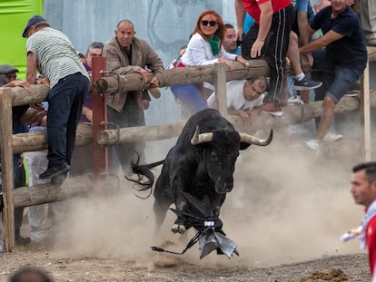 El toro salta sobre un paraguas este martes en Tordesillas.