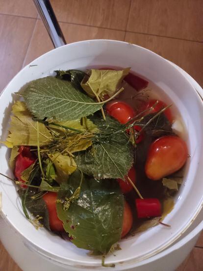 Tomatoes macerated on the Kupiansk front, last September.