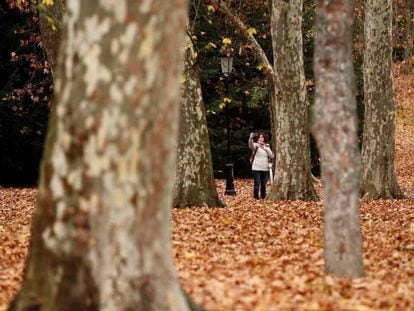 Una mujer se hace una foto con un móvil en un parque de Pamplona completamente cubierto de hojas.