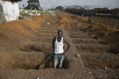 Nuevas tumbas cavadas esta semana en el cementerio de Freetown, en Liberia, donde la epidemia sigue a pesar del olvido mundial.