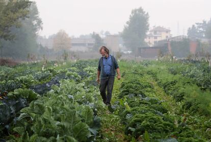 Joan Crous was walking on October 22 in the orchards of an industrial land recovered for agriculture by the cooperative he founded in Bologna, Eta Beta.