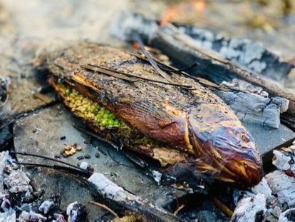 La carpa con guisantes y cebada, una receta de hace sólo 8.000 años. 