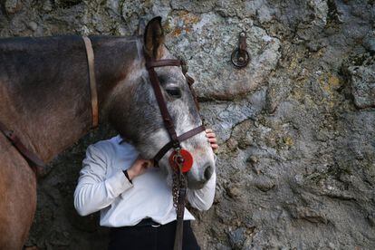 La localidad abulense de San Bartolomé de Pinares ha celebrado este miércoles entre humo y llamas su famosa tradición de las Luminarias, en la que los caballos son los grandes protagonistas.