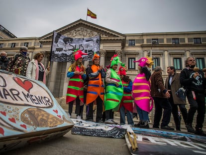 Integrantes de las plataformas ciudadanas que han presentado la iniciativa popular en defensa del mar Menor, este martes frente al Congreso.