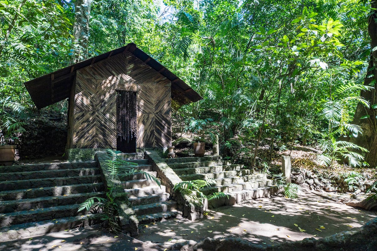 La Reserva Natural Nanciyaga lucha contra la deforestación en la región de Los Tuxtla