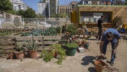 Huerto urbano en el solar del antiguo convento de les Germanetes, en la Esquerra de l&rsquo;Eixample.