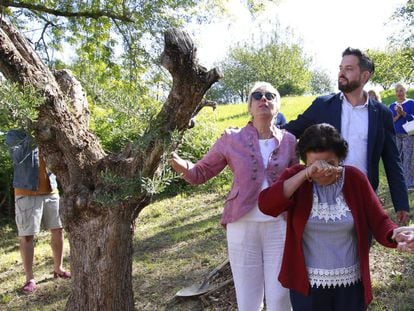 La familia de Antonio Cedillo, asesinado por ETA, junto al olivo plantado en el acto de Rentería.