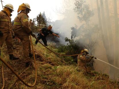 Policia i bombers intenten extingir un foc prop de Funchal, a Madeira.