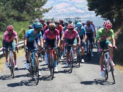 El pelotón, durante la tercera etapa de la Vuelta a Burgos disputada a principios de agosto.