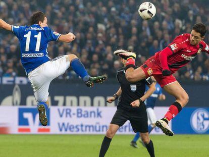 Chicharito (d) ante el Schalke, en la Bundesliga.