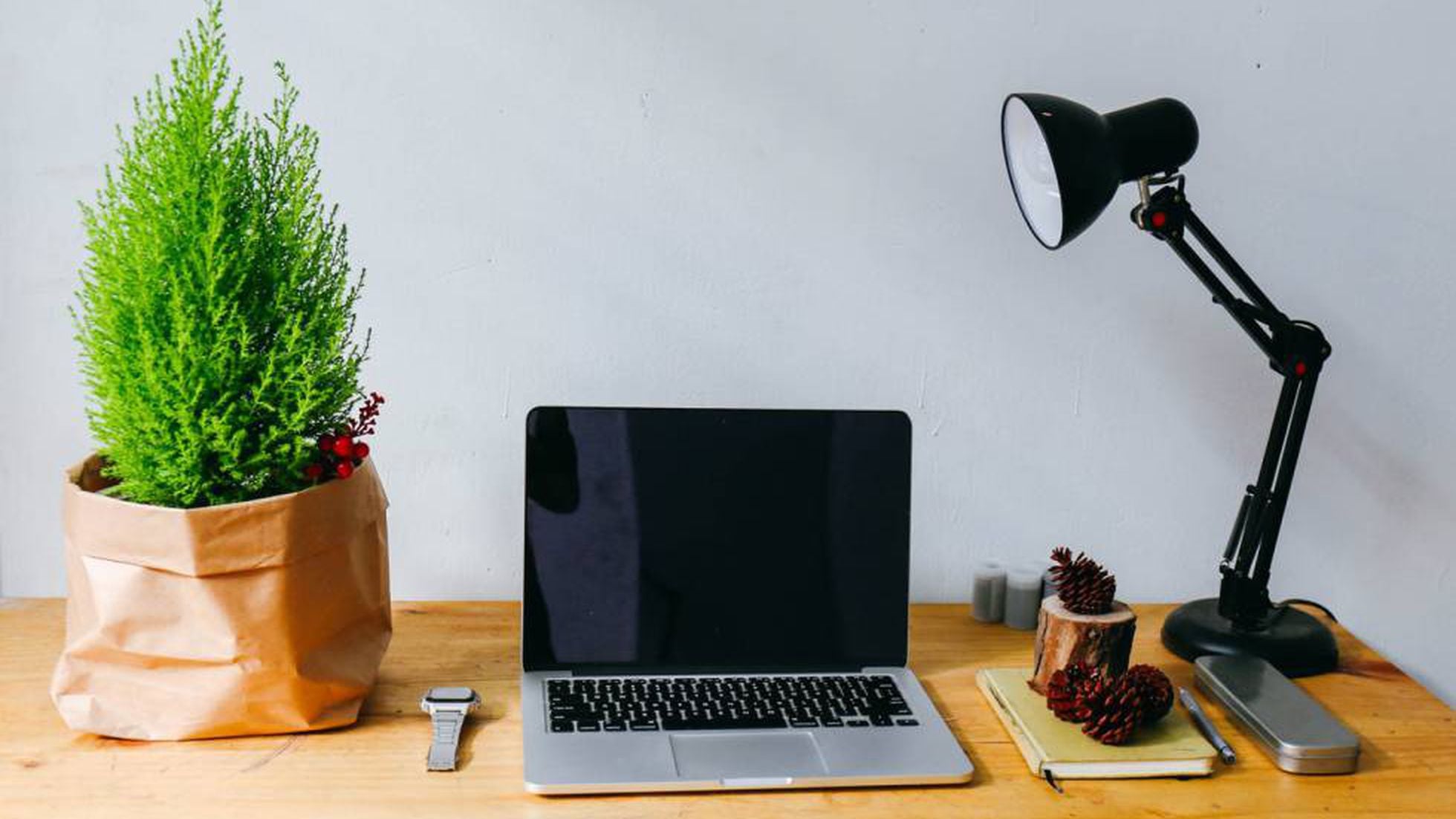 Portalápices modelo sacapuntas de diferentes colores para el escritorio o  el trabajo