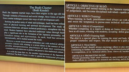 Los artículos de la Carta del Budo, en la entrada del Nippon Budokan. /E.G.  