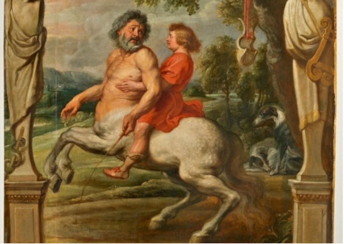 El caballo y sus híbridos