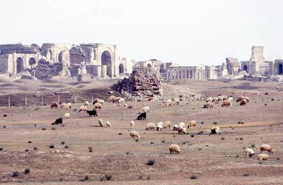 Ruinas actuales en las que se encuantra Hatra. |