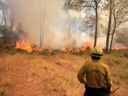 Los bomberos apagan un incendio reciente en Vilopriu.