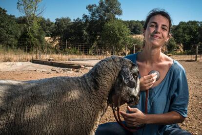 Pilar Codony escriu la novel·la des de la seva posició de veterinària de granja, a Vilafreser (Pla de l’Estany).