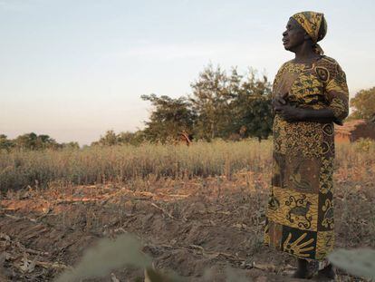 Sofia Tore, ante el campos seco que cultiva en el distrito de Machinga (Malawi).