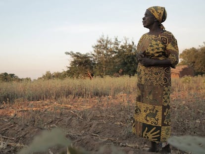 Sofia Tore, ante el campos seco que cultiva en el distrito de Machinga (Malawi).