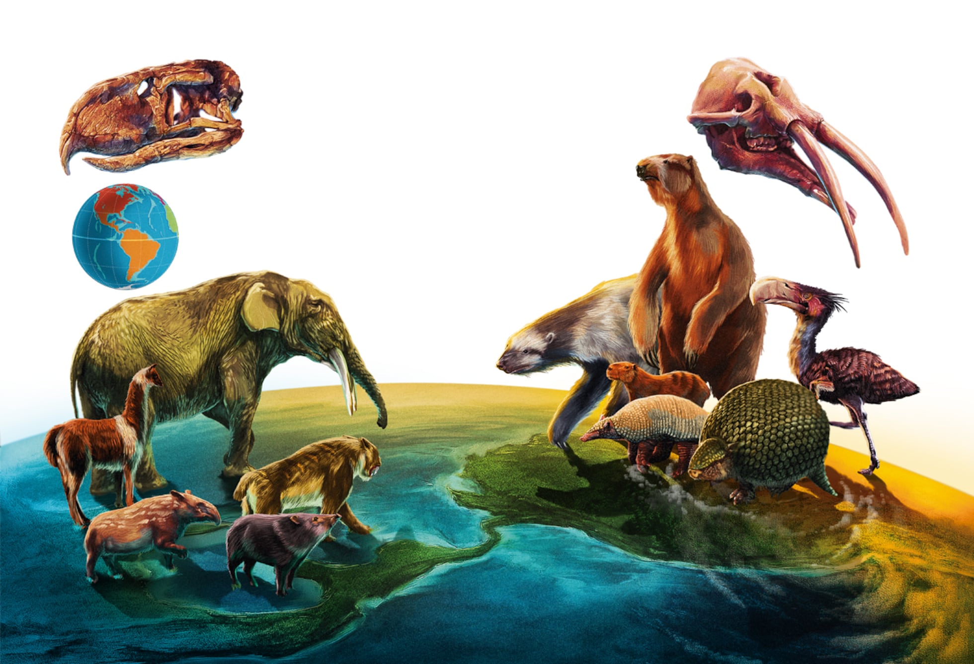 What can fossils teach us about biodiversity? Pledge Times