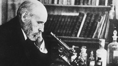 Santiago Ramón y Cajal.