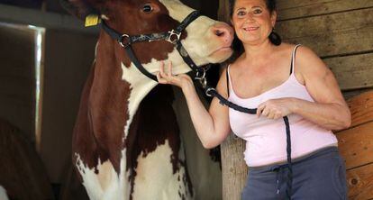 La activista Edith Zellweger, junto a una de las vacas rescatadas.