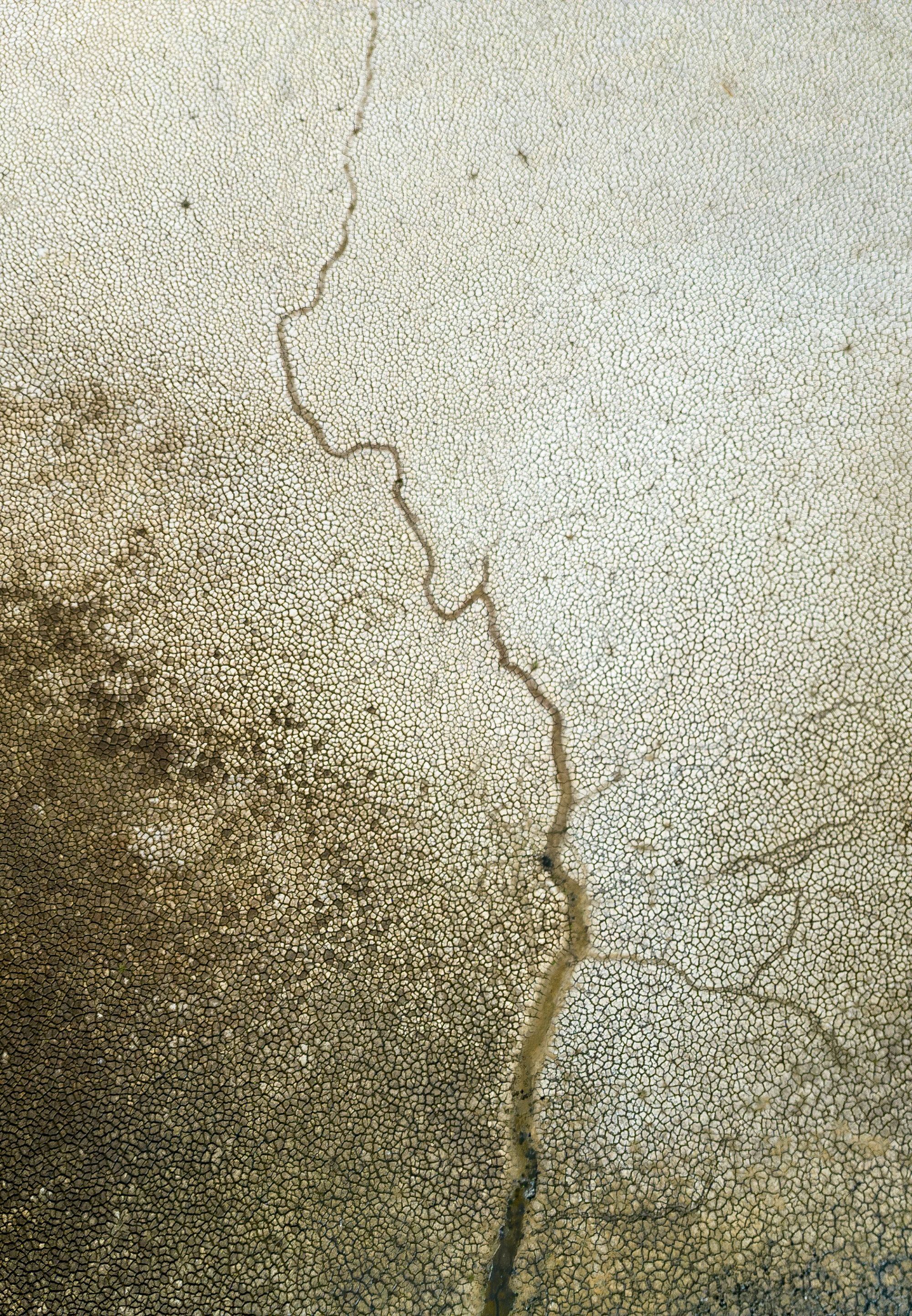 Detalle del suelo resquebrajado de la laguna de Santa Olalla.