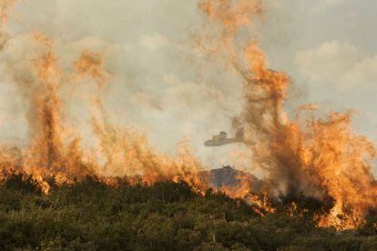 Imagen de la extinción del incendio activo ayer tarde en el Xurés, en Queguas, en el término municipal de Entrimo.