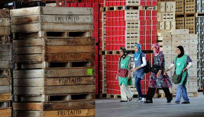 Cuatro mujeres acuden con velo al trabajo en Aitona (Lleida).