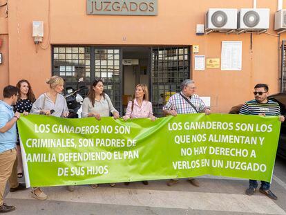 La portavoz de Vox en el Ayuntamiento de Lorca, Carmen Menduiña, en el centro, junto a afiliados ultras, esta mañana ante el juzgado de Lorca.