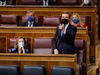 El presidente del PP, Pablo Casado, interviene durante una sesión de control al Gobierno en el Congreso de los Diputados.