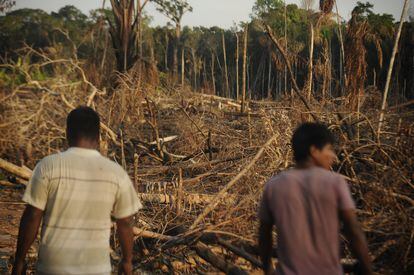 Las alertas por la deforestación son insuficientes ante el avance del narcotráfico en comunidades como San Pablo de Anguillal. Las comunidades indígenas denuncian que los narcotraficantes talan sus árboles para construir pistas de aterrizaje clandestinas y laboratorios de coca.