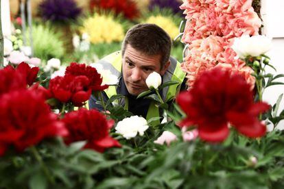 Un trabajador prepara un conjunto de flores en el Chelsea Flower Show de Londres.