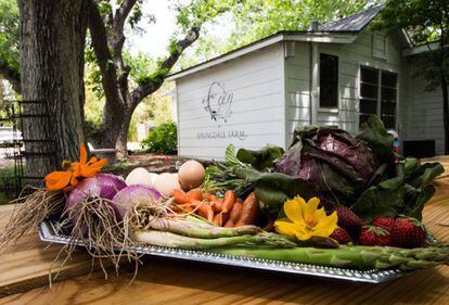 Exposición de verduras ecológicas en el jardín del restaurante Eden East de Austin (Texas).